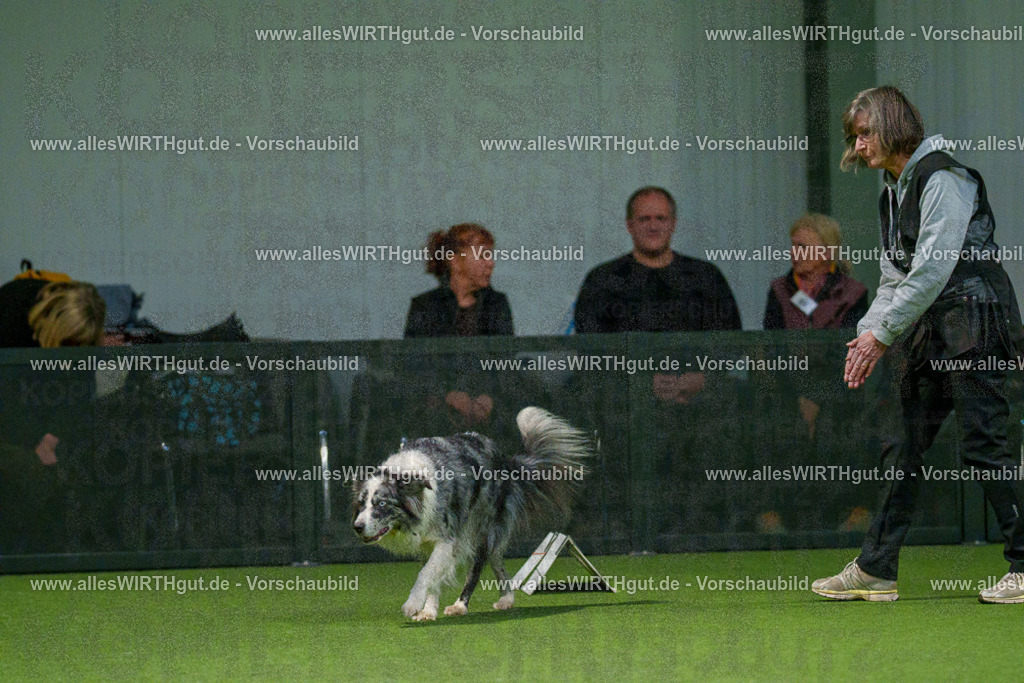 7R504447 | Professionelle Tierfotografie in Mönchengladbach von Daniel Wirth (allesWIRTHgut). Liebevolle & natürliche Bilder von Hunden & Katzen für unvergessliche Erinnerungen.