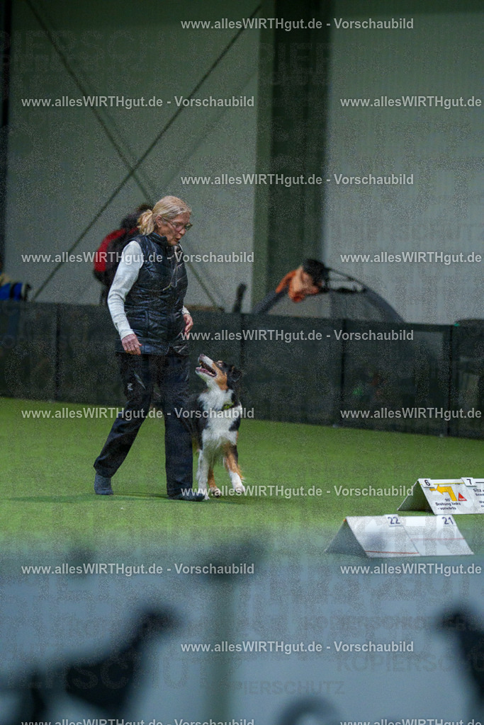 7R503334 | Professionelle Tierfotografie in Mönchengladbach von Daniel Wirth (allesWIRTHgut). Liebevolle & natürliche Bilder von Hunden & Katzen für unvergessliche Erinnerungen.