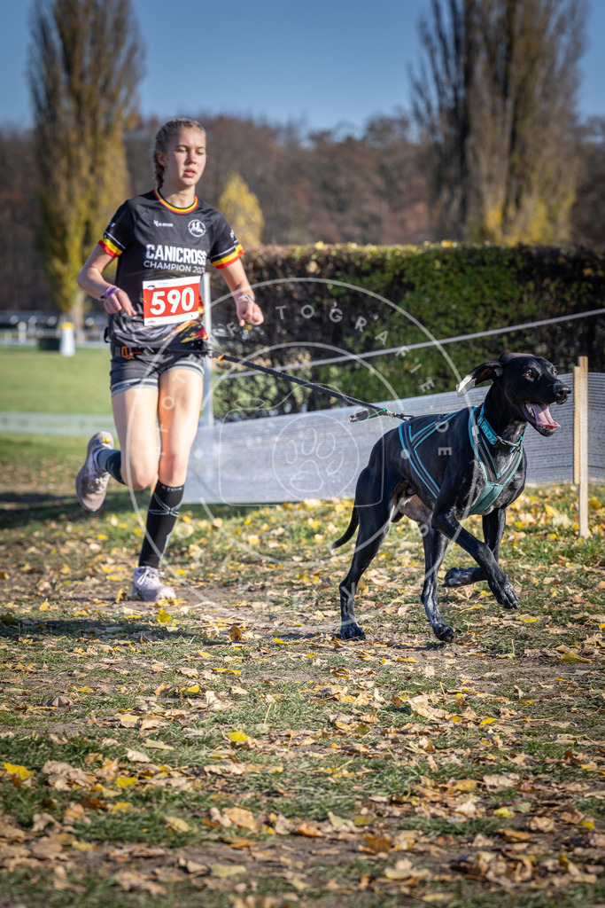 CaniXpix_DV3A9249 | Hundefotografie, Tierfotograf, Pfotenfotografie, Fotoshooting Hund, Hunde Portrait, Hundesport, Hundeportraits, Heideshooting, Hunde, Sportfotograf, Hundefotograf, Turnierhundsport, THS,  - Realisiert mit Pictrs.com