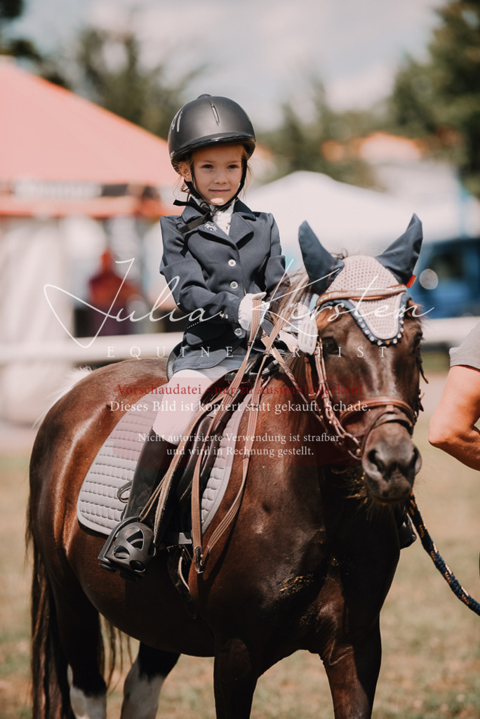 DSC_6169 | Pferde- und Turnierfotografie in Westsachsen. Pferdeportraits, Auftragszeichnungen und intuitive Kunst.