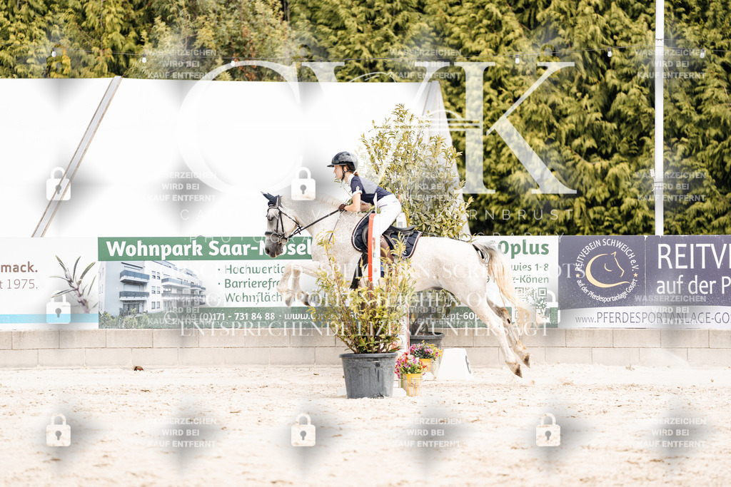 CK906808 | Turnierfotografie Pferdefotografie Trier Rheinland-Pfalz Pferdesport Reitsport Tierfotografie Sportfotografie Pferdevideo Pferdevideografie Equestrianvideography equestrianphotography  - Realisiert mit Pictrs.com
