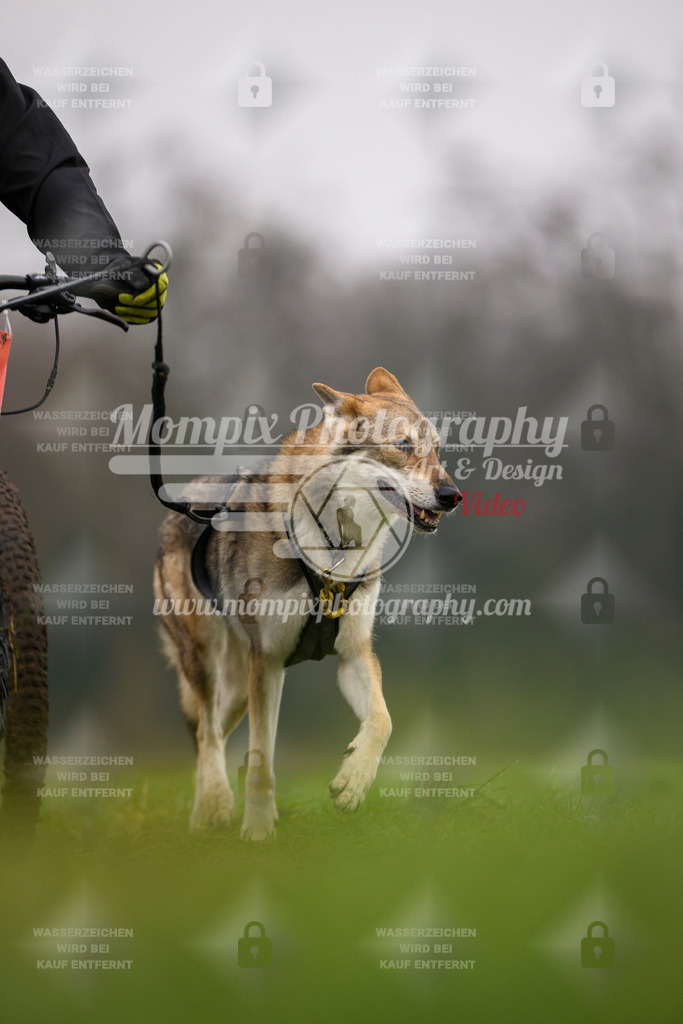 MompixPhotography_CDF2023_FFST_Di_Bike1-139 | PayLife