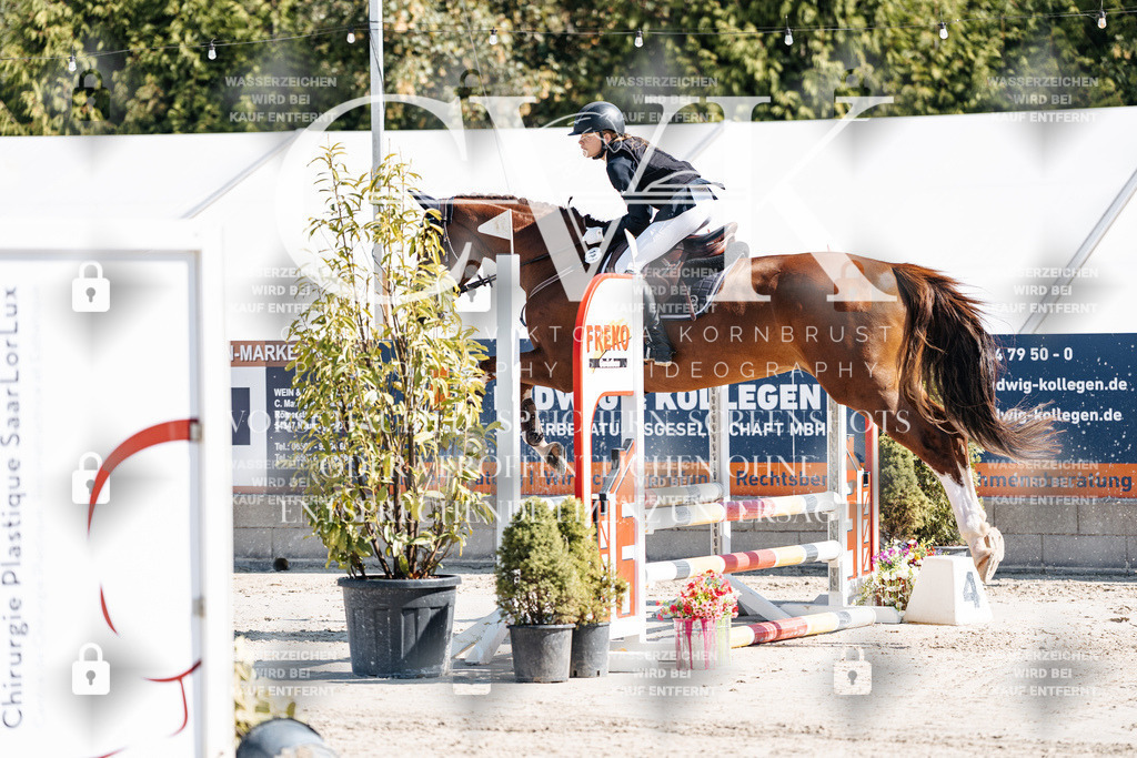 CK905212 | Turnierfotografie Pferdefotografie Trier Rheinland-Pfalz Pferdesport Reitsport Tierfotografie Sportfotografie Pferdevideo Pferdevideografie Equestrianvideography equestrianphotography  - Realisiert mit Pictrs.com