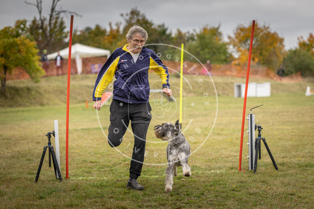 Pfotenfotografie_DV3A5331 | Hundefotografie, Tierfotograf, Pfotenfotografie, Fotoshooting Hund, Hunde Portrait, Hundesport, Hundeportraits, Heideshooting, Hunde, Sportfotograf, Hundefotograf, Turnierhundsport, THS,  - Realisiert mit Pictrs.com