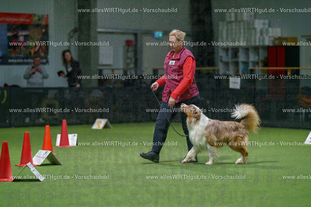 7R505269 | Professionelle Tierfotografie in Mönchengladbach von Daniel Wirth (allesWIRTHgut). Liebevolle & natürliche Bilder von Hunden & Katzen für unvergessliche Erinnerungen.