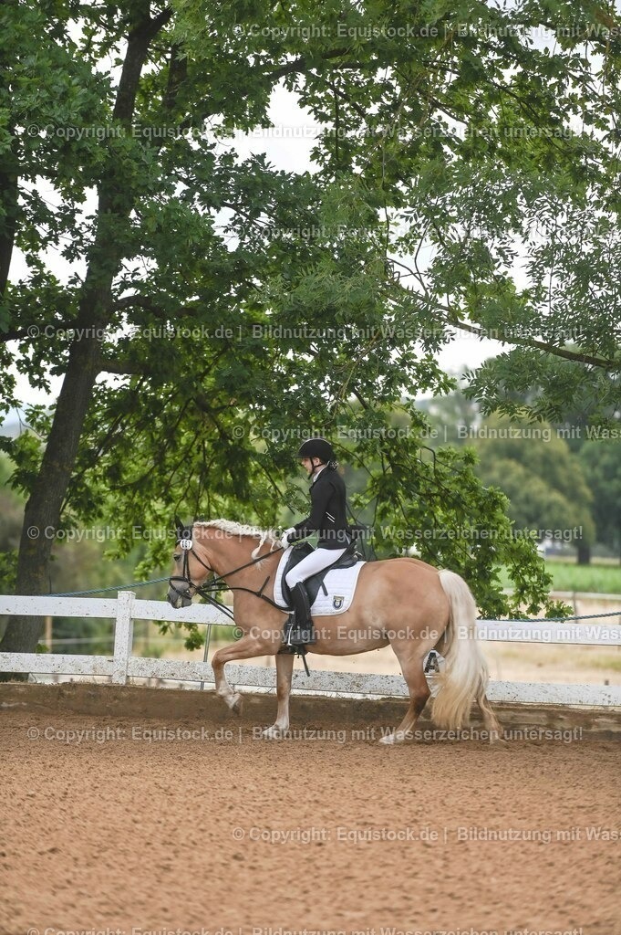 20230716_10-1_Reiter-WB Schritt - Trab - Galopp_0221 | equistock