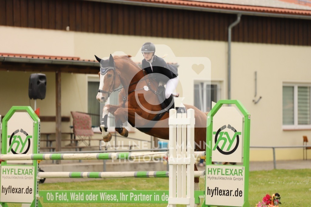 IMG_7278 | Pauline Ullmann Photography - Realisiert mit Pictrs.com