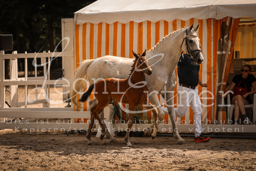 09.DoWBD00107 | Leoni Ertmer Photography - Realisiert mit Pictrs.com