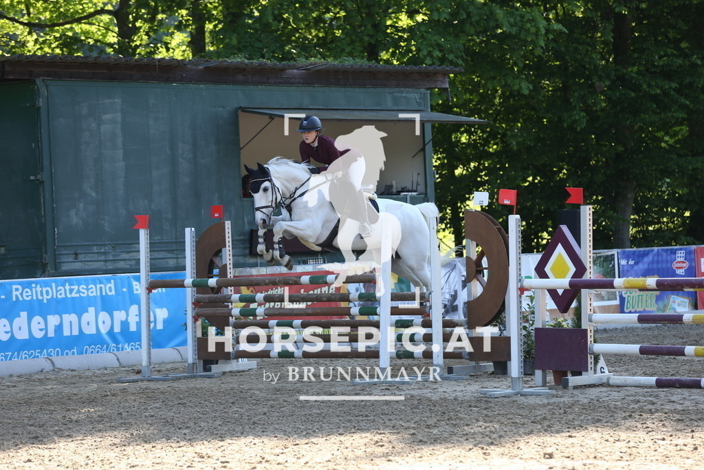 DL2Q2810 | Willkommen bei Brunnmayr - Design & Fotografie – Ihrem Spezialisten für Reitturniere und Pferdeveranstaltungen in Oberösterreich, Salzburg und Bayern! Seit über 17 Jahren sind wir leidenschaftlich dabei.