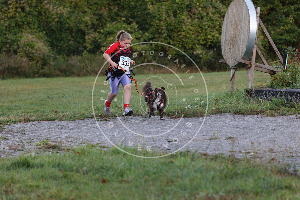 0L8A4262 | Hundefotografie, Tierfotograf, Pfotenfotografie, Fotoshooting Hund, Hunde Portrait, Hundesport, Hundeportraits, Heideshooting, Hunde, Sportfotograf, Hundefotograf, Turnierhundsport, THS,  - Realisiert mit Pictrs.com