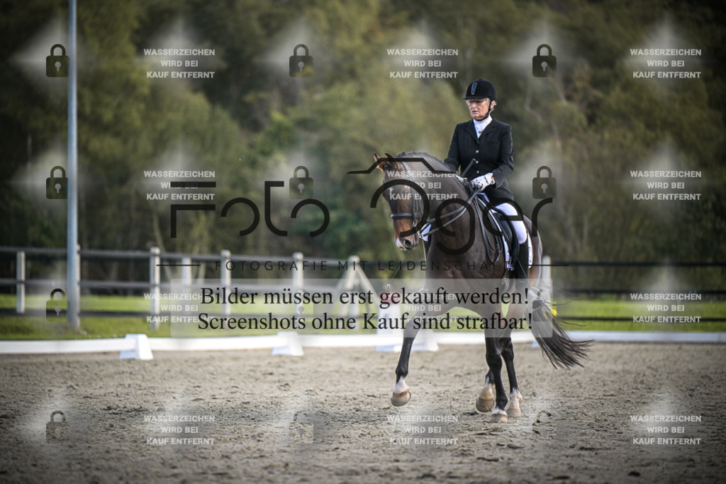 DOS_3932 | Entdecke hochwertige Reitturnierfotos von Foto Oger. Professionell, emotional und authentisch – jetzt Lieblingsmomente im Shop bestellen.Deutschlandweite Turnierfotografie. - Realisiert mit Pictrs.com