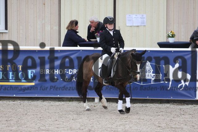 Birkhof_2023_Reiter-WB_Trab-Galopp_Gruppe_05 (34) | Alle Fotos der Reiterjournal Fotografin Doris Matthaes im Reiterjournal Online-Fotoshop. - Realisiert mit Pictrs.com