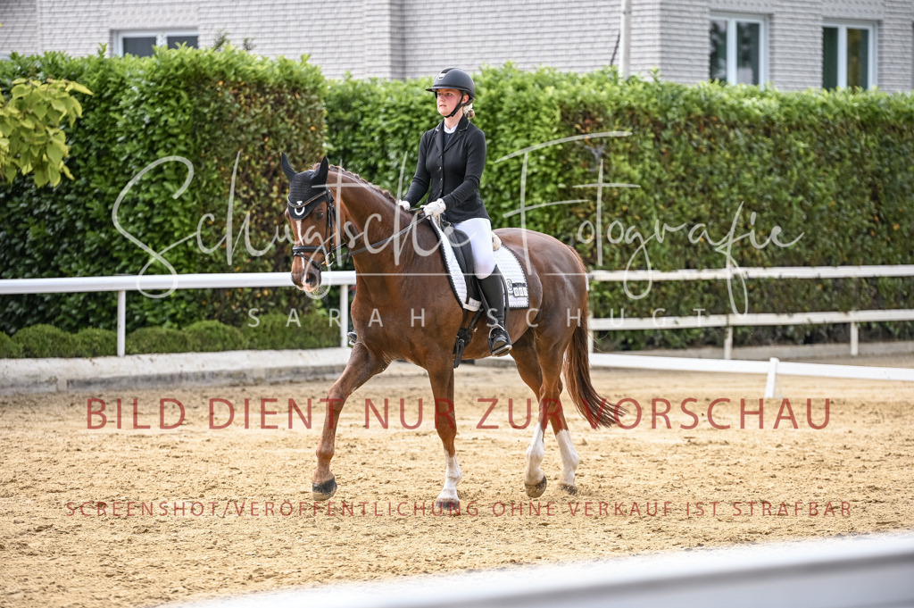 Schugtsche-Aluta25-55.Dressurreiterprf.L1Tr-212 | Schugtsche Fotografie - Realisiert mit Pictrs.com