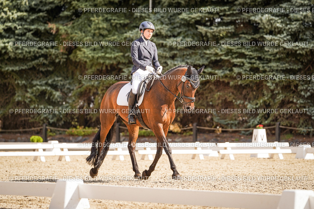 DSC00963 | Pferdegrafie