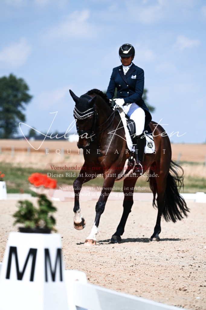 DSC_2912 | Pferde- und Turnierfotografie in Westsachsen. Pferdeportraits, Auftragszeichnungen und intuitive Kunst.