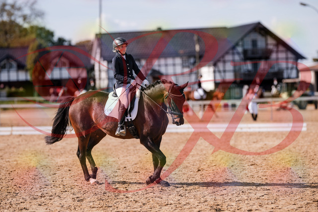 2026_10_03_Siefer-Hof_133827_Z81_96311772 | Professionelle Reitsport-, Turnier- und Eventfotografie von Robert Broda. Galerien mit ausgewählten und bearbeiteten Bildern direkt online ansehen und bestellen.