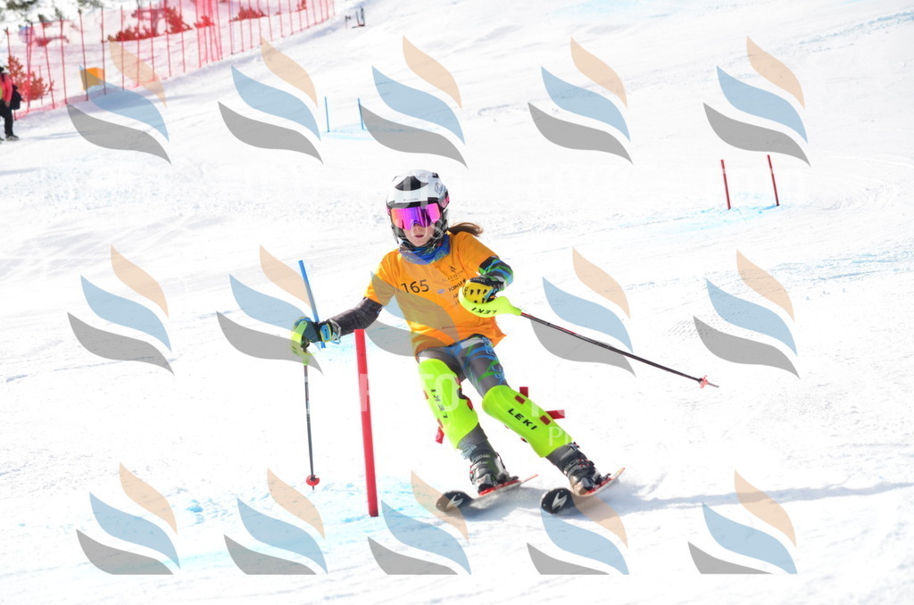 C7859 | holidayphoto