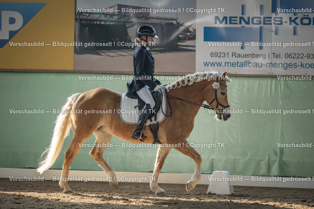 _D5A8295 | Emotionale Pferde- & People-Fotografie rund um Heidelberg, Leimen & Umgebung. Natürliche Fotos von Pferd, Mensch & Familie. Jetzt Termin sichern!