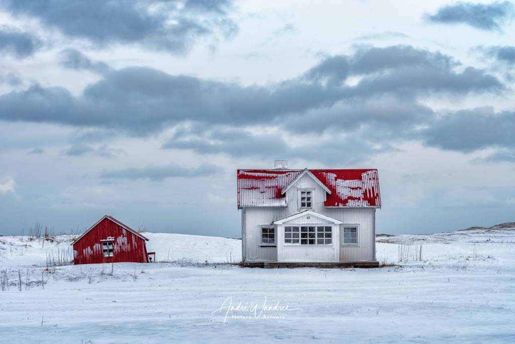 Irgendwo im Schnee | Andre Wandrei - Nature Artworx - Realisiert mit Pictrs.com