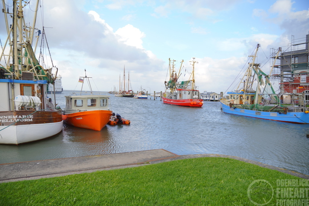 _A7R1780 | Björn Thiemann; Ogenblick.de; Fotografie; Photograph; Landscape, Pellworm, Schleswig-Holstein; Inselfotograf; Inselfotografien; Wattenmeer; National-Park; Naturschutzgebiet; Leuchtturm; Lighthouse; Leinwandbilder; Kalender; Pellworm Kalender;  - Realisiert mit Pictrs.com