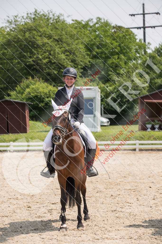 IMG_3703 | Sport-, Event- und Tierfotos in Profiqualität. Einfach auswählen, bestellen und herunterladen. Dein Moment – perfekt festgehalten.