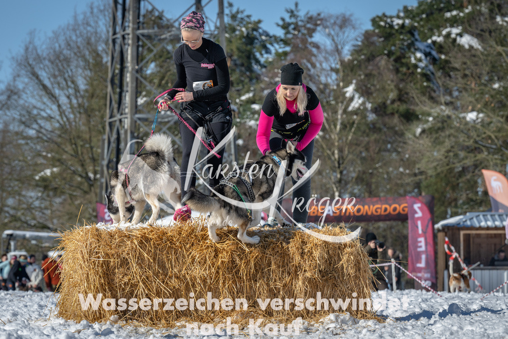 1127_ZZ92259-3 | kk-dogfotos