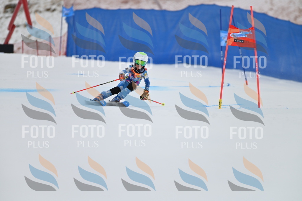 BGV_1513 | holidayphoto