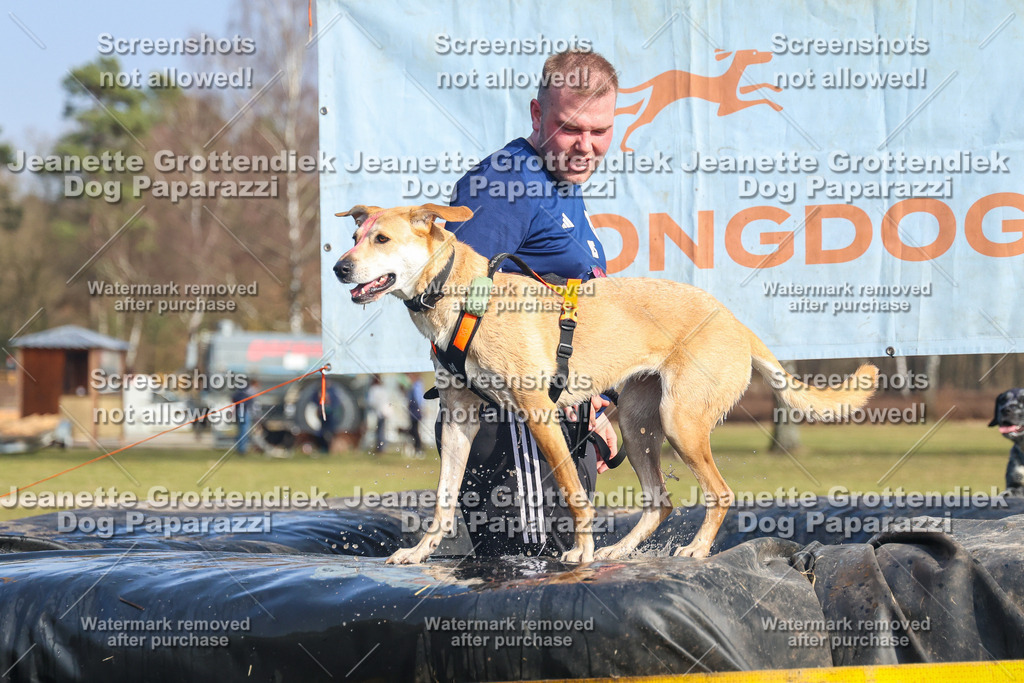 Dog Paparazzi - Strongdog North Mrz26-3064 | Dog Paparazzi Jeanette Grottendiek Fotografie & Videografie - Realisiert mit Pictrs.com