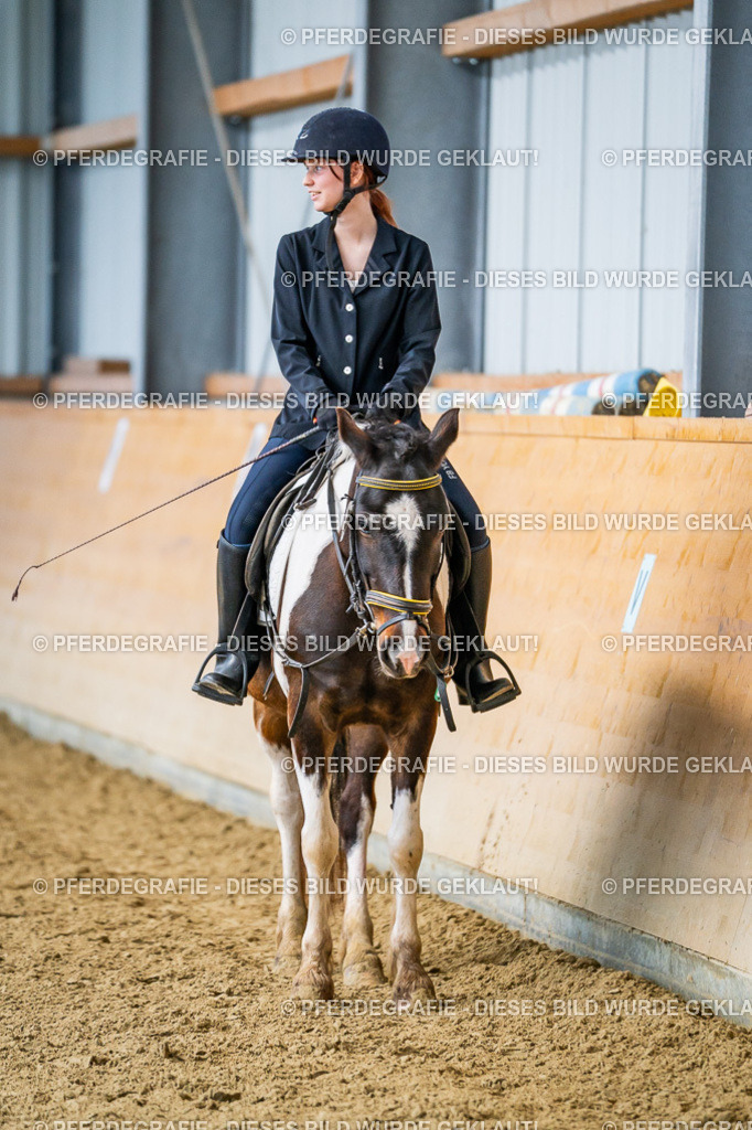 DSC03817 | Pferdegrafie