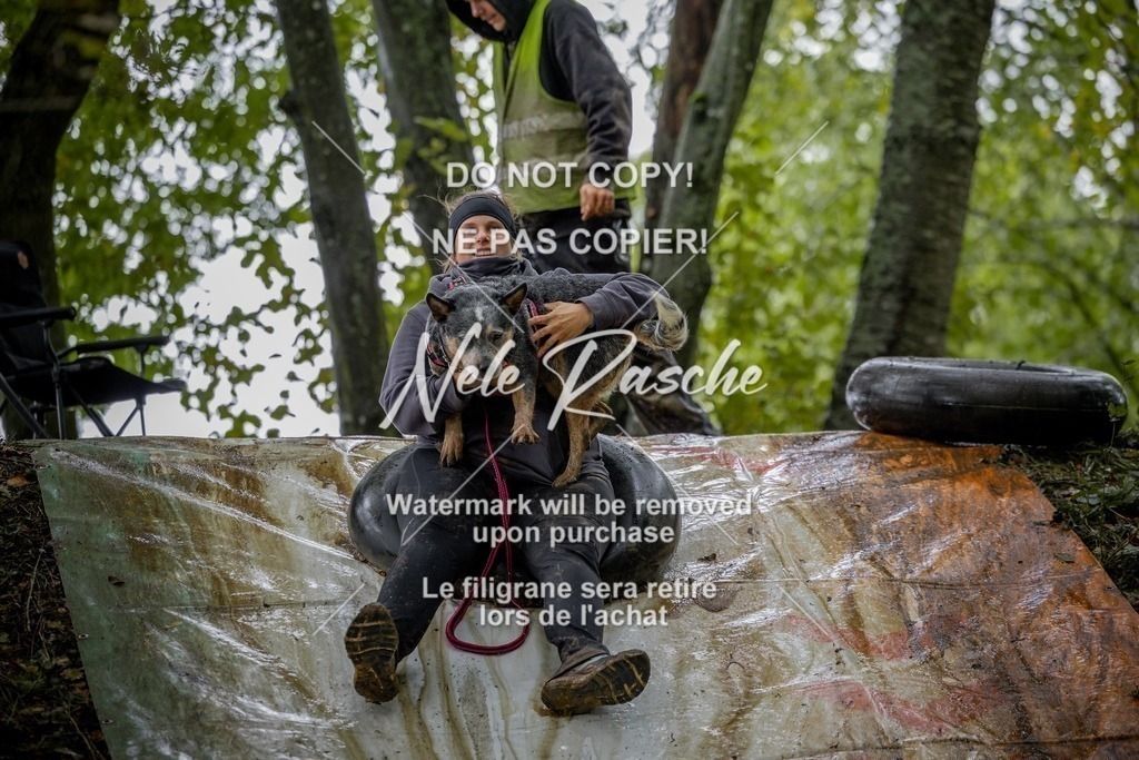 nelerasche_Hunsrück_Sa1430-1500_325-final | nelerasche
