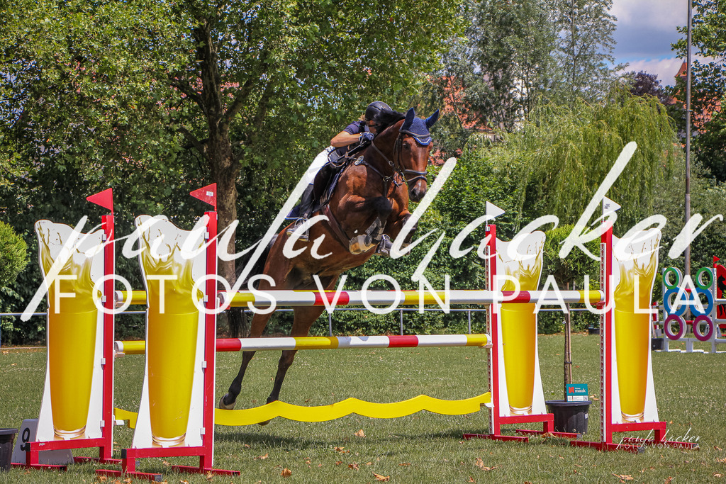 IMG_9276 | Erleben Sie dynamische Sport- und emotionale Tierfotografie in Süddeutschland mit Fotos von Paula. Spezialisiert auf Pferde- und Hundefotografie sowie Sportevents. Kontaktieren Sie mich für einzigartige und ausdrucksstarke Bilder Ihrer besonderen Momente. - Realisiert mit Pictrs.com