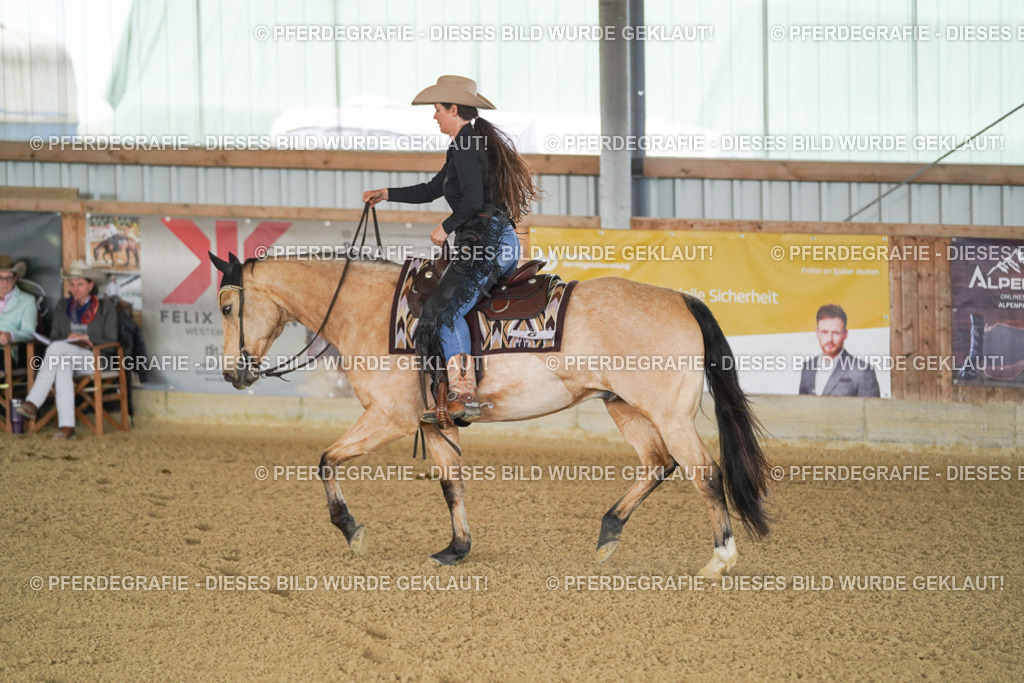 DSC02535 | Pferdegrafie