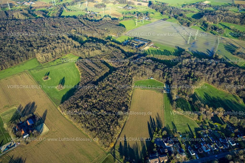 Gladbeck240107906 | Luftbild, NSG Naturschutzgebiet Möllers Bruch Waldgebiet, Zweckel, Gladbeck, Ruhrgebiet, Nordrhein-Westfalen, Deutschland