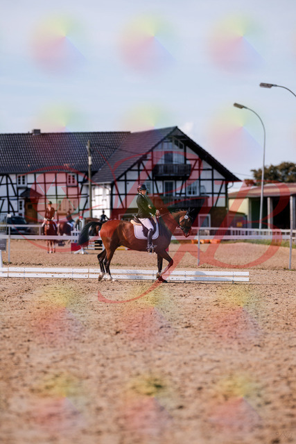 2026_10_03_Siefer-Hof_131657_Z81_64848625 | Professionelle Reitsport-, Turnier- und Eventfotografie von Robert Broda. Galerien mit ausgewählten und bearbeiteten Bildern direkt online ansehen und bestellen.