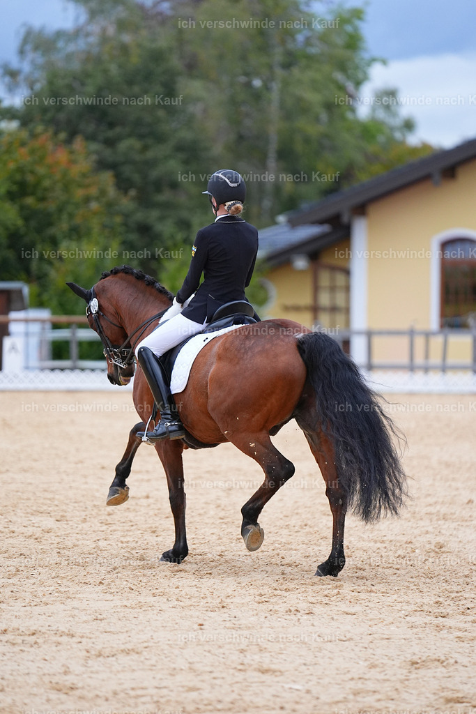 04_2-006-Dressur M__ -Marixx-3082 | working equitationturnier fotograf videograf stoibphotography marixx film working equitation deutschland reitsport turnierfotografie eventfotografie equestrian events