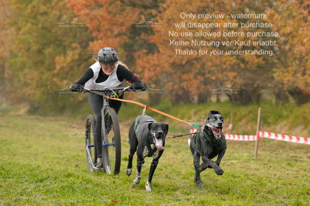 Visbeck_Sa_DS2DR2-43 | stephaniefillaphotographie - Realisiert mit Pictrs.com