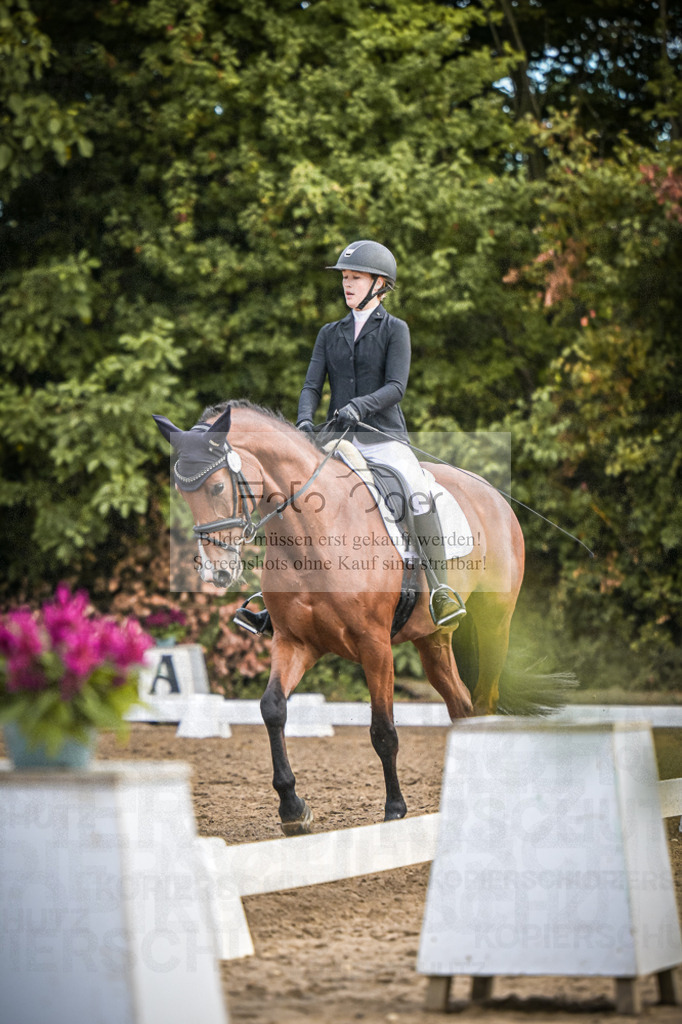 DOS_1524 | Entdecke hochwertige Reitturnierfotos von Foto Oger. Professionell, emotional und authentisch – jetzt Lieblingsmomente im Shop bestellen.Deutschlandweite Turnierfotografie. - Realisiert mit Pictrs.com