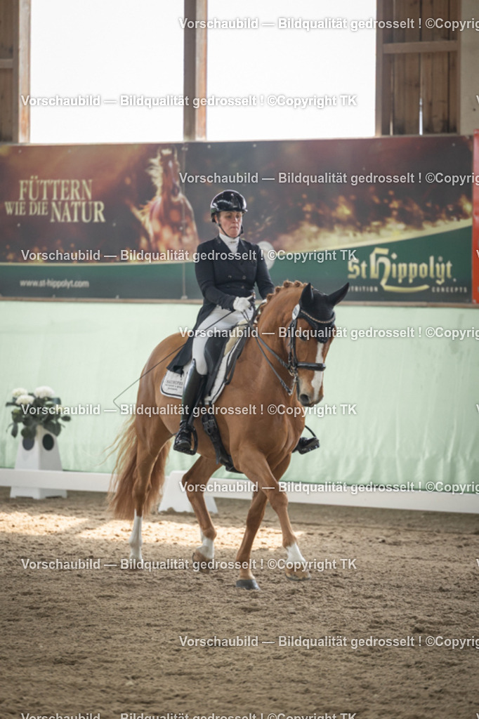 _D5A5049 | Emotionale Pferde- & People-Fotografie rund um Heidelberg, Leimen & Umgebung. Natürliche Fotos von Pferd, Mensch & Familie. Jetzt Termin sichern!