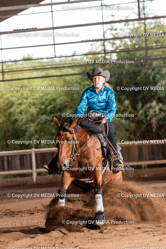 Erbach Tag 2-1013 | dv-media-shop - Realisiert mit Pictrs.com