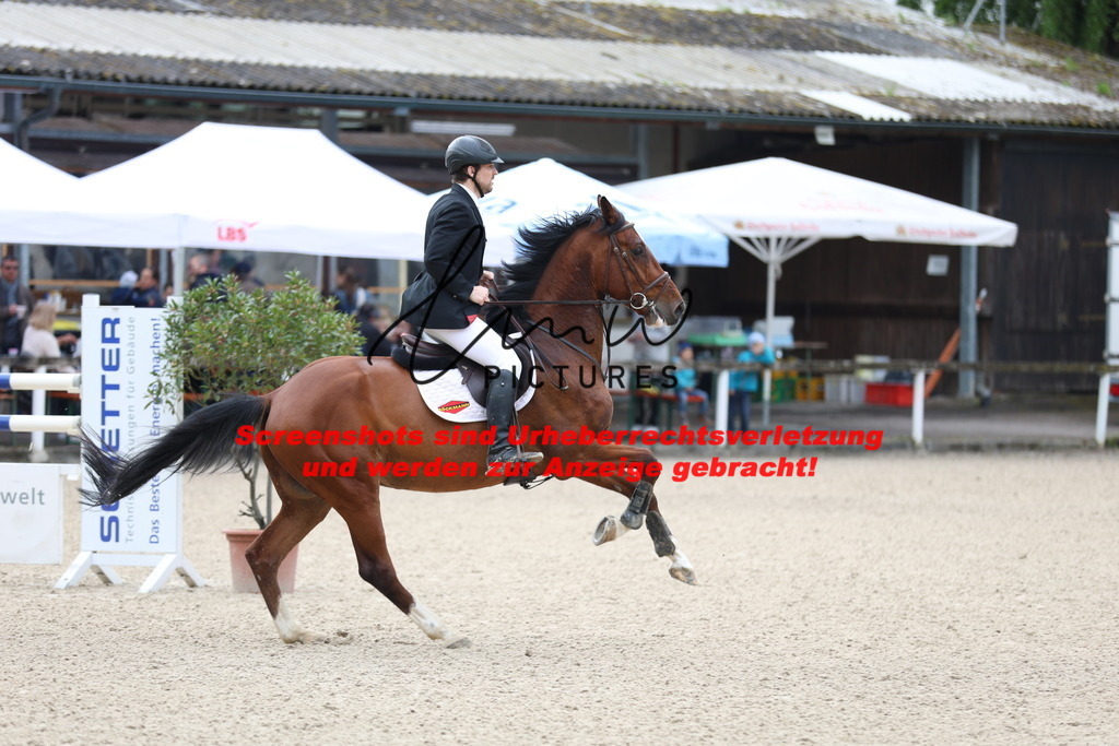 A40A1250 | lmwpictures - Realisiert mit Pictrs.com