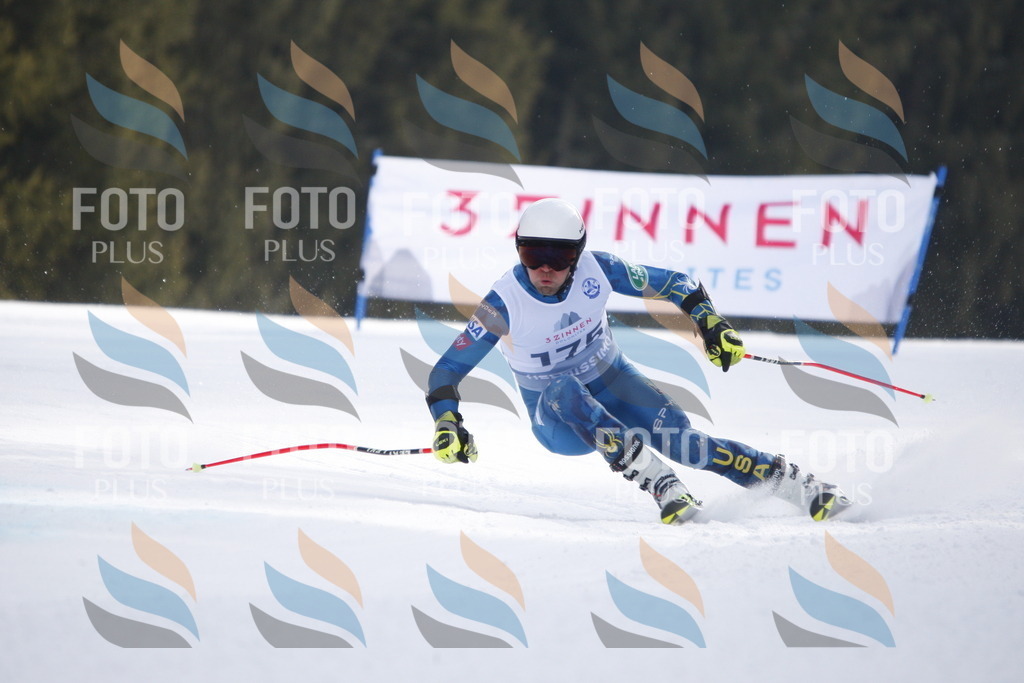 D7592 | holidayphoto