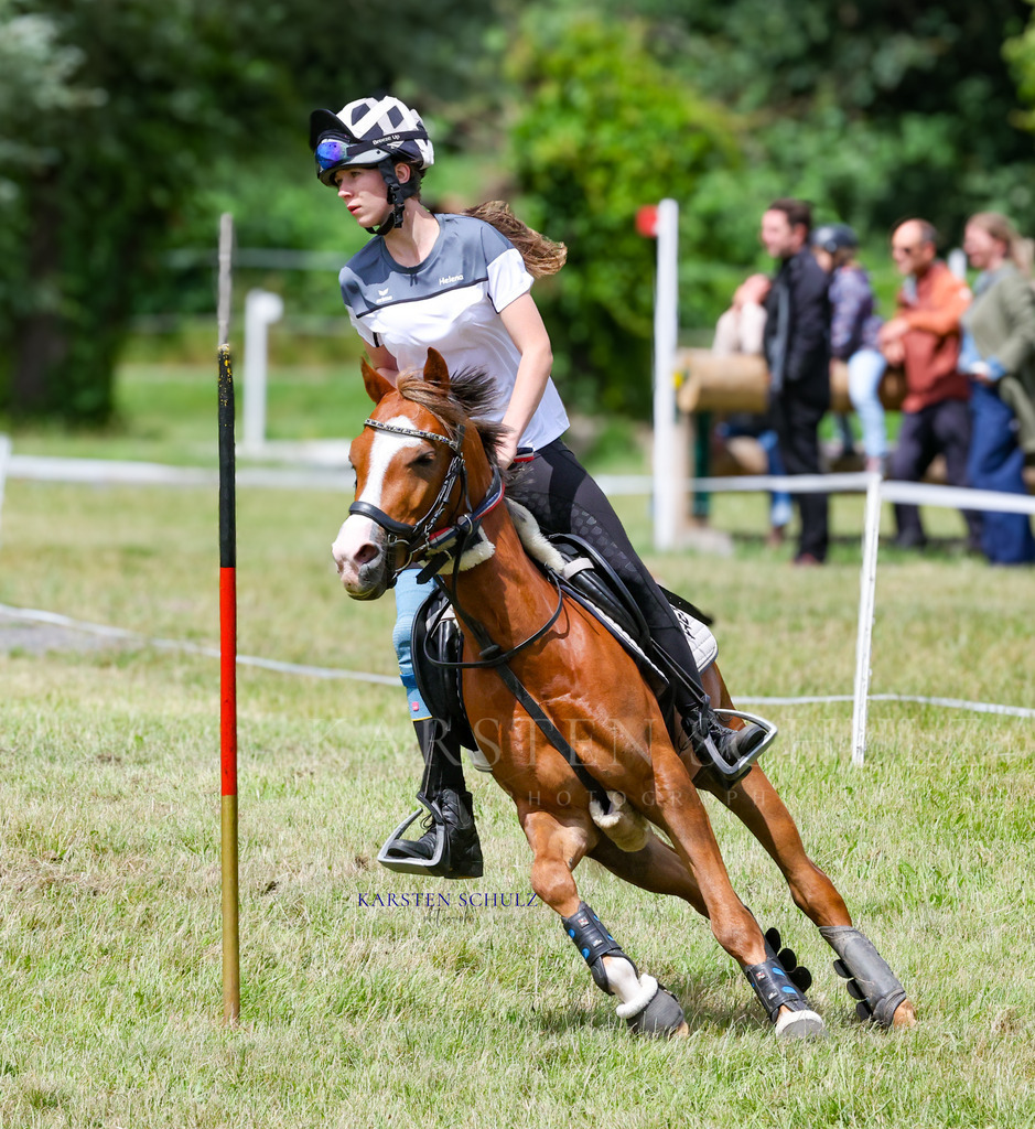 1B3A1170 | Reitsport Reiten