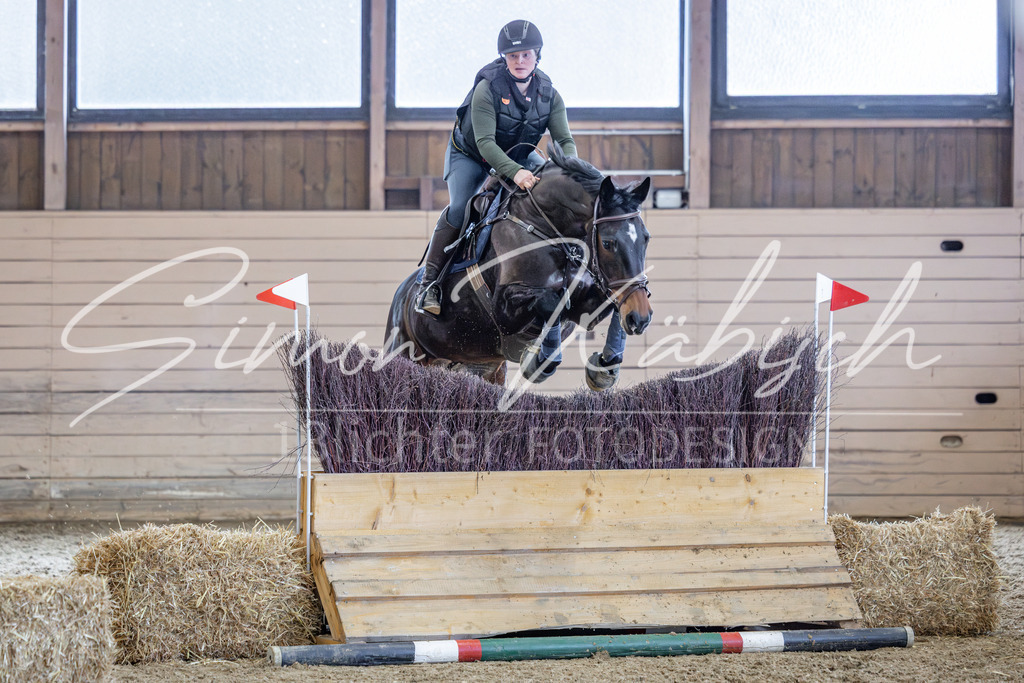 20260221-_3LI0183 | Tierfotografie Pferde, Hunde, Katzen, Haustiere.
Turnierfotografie Reitturniere, Reiten, Springreiten, Dressur in Hanau, dem Main-Kinzig-Kreis und dem Rhein-Main- Gebiet um Frankfurt