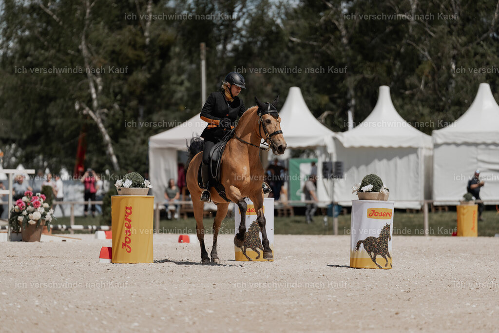 WE_ST_Stoib_319_PI2025_1275 | Pferd International München 2025