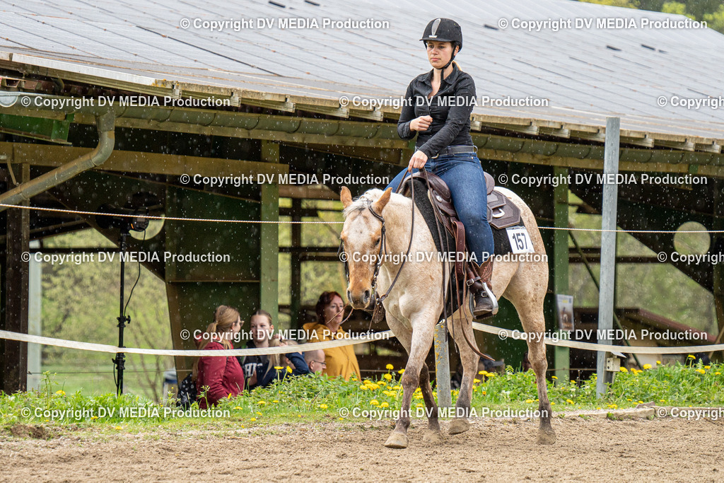 BAL00838 | dv-media-shop - Realisiert mit Pictrs.com