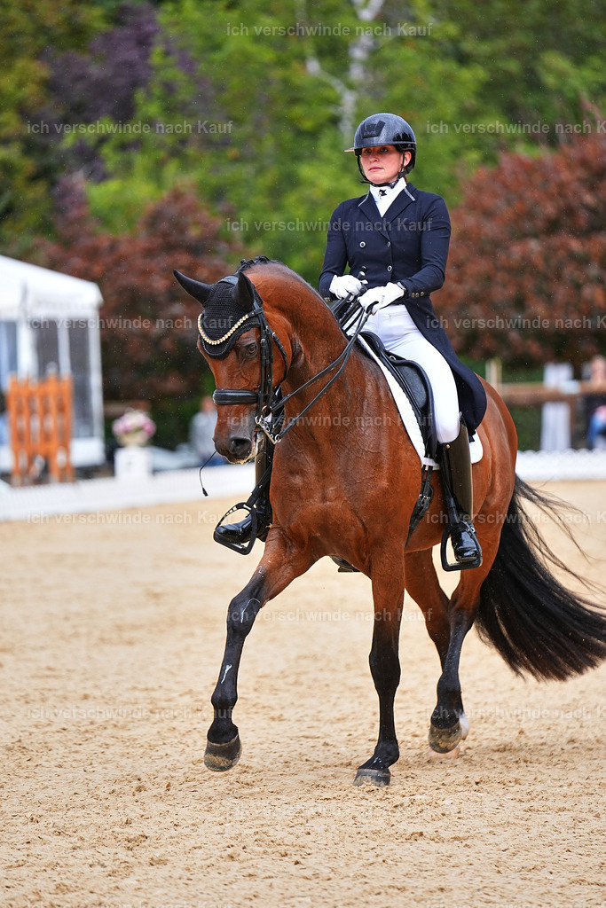 8_1-100-Klasse S_  -Marixx-4201 | working equitationturnier fotograf videograf stoibphotography marixx film working equitation deutschland reitsport turnierfotografie eventfotografie equestrian events