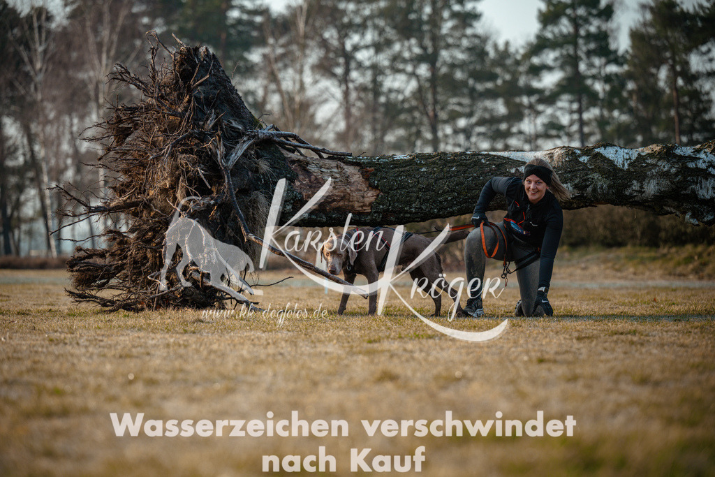 0827_ZZ94891 | kk-dogfotos