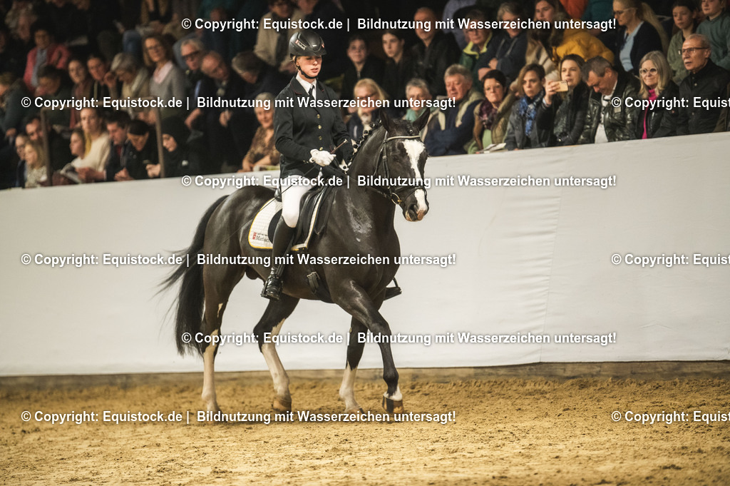 20240302_Hengstvorstellung_Marbach_TOMsPiC_0675 | equistock