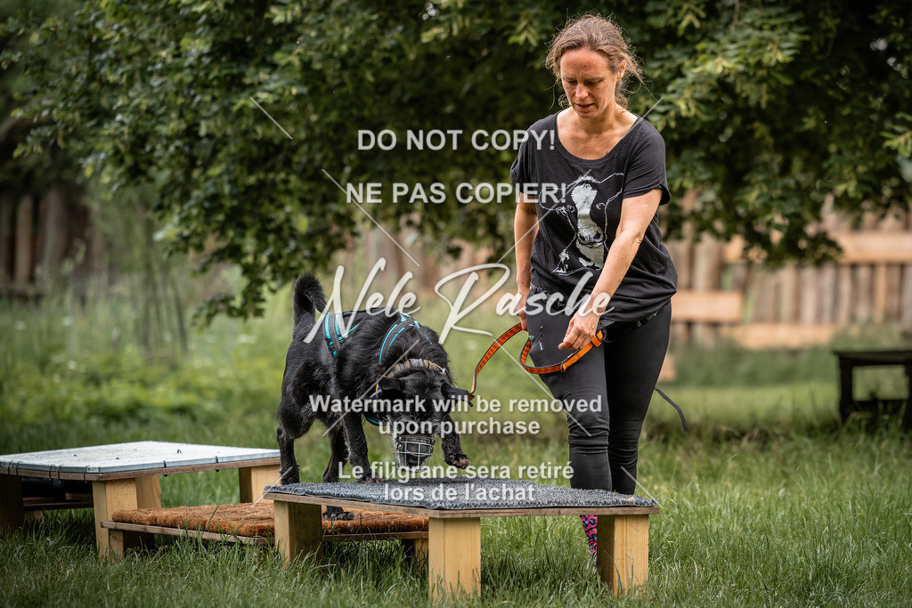nelerasche_So-funtrail_183 | nelerasche