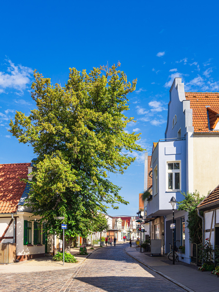 Die Alexandrinenstraße mit Baum in Warnemünde | Die Alexandrinenstraße mit Baum in Warnemünde.